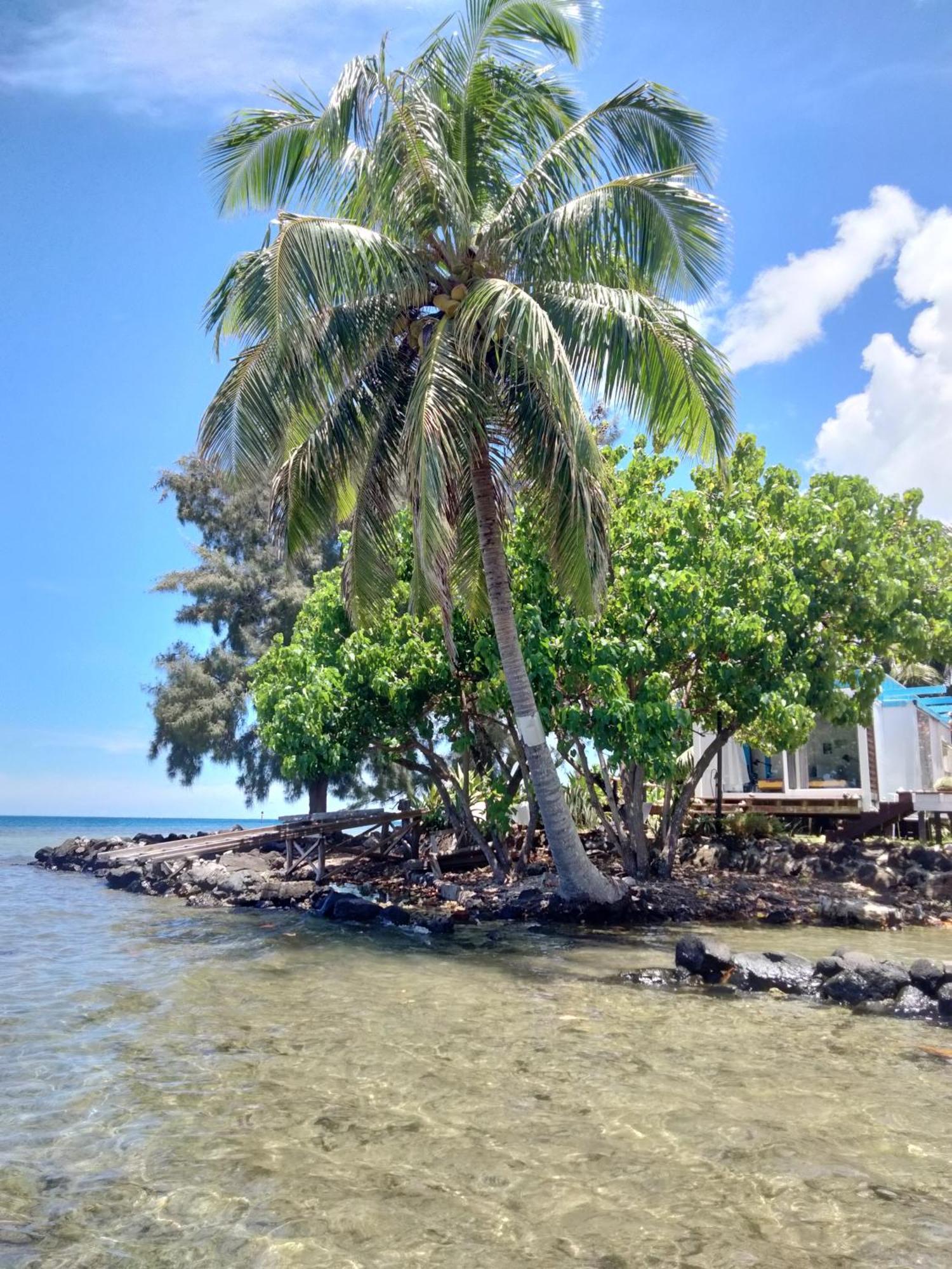Bungalow Vue Lagon 180 Degre, La Maison Bleue Муреа Екстериор снимка